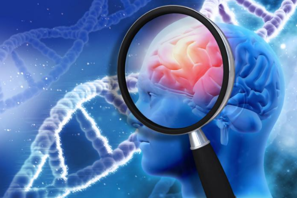 研究重点：prepGEM和CRISPR/Cas9用于研究早衰素基因突变与阿尔茨海默病的关系